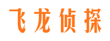 大观飞龙私家侦探公司